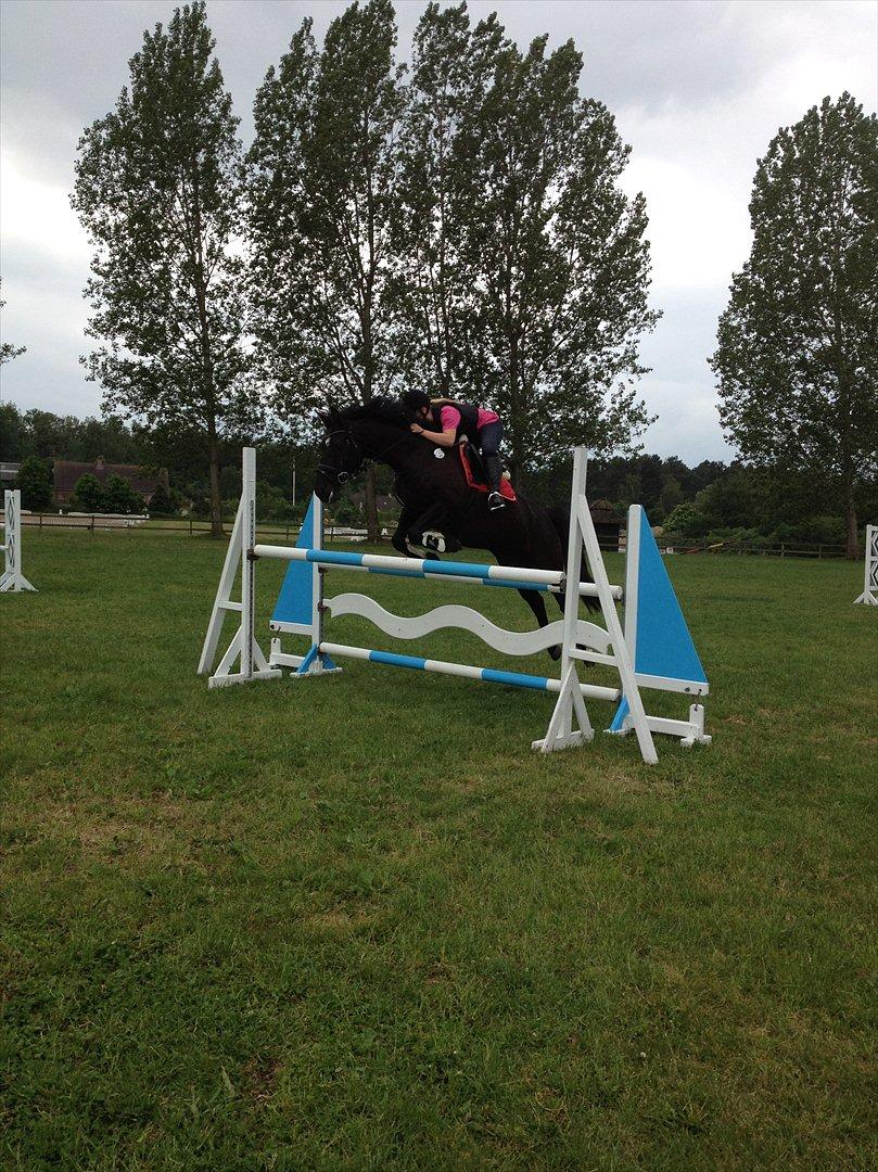 Oldenborg Shery Horsmark - Første gang vi springer 120cm (LA) juni 2012 billede 16