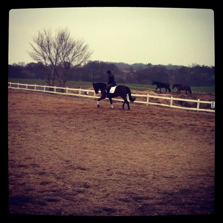 Traver Kenzo - My dream <3 billede 8