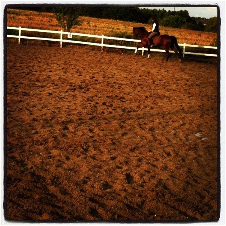 Traver Kenzo - My dream <3 billede 3