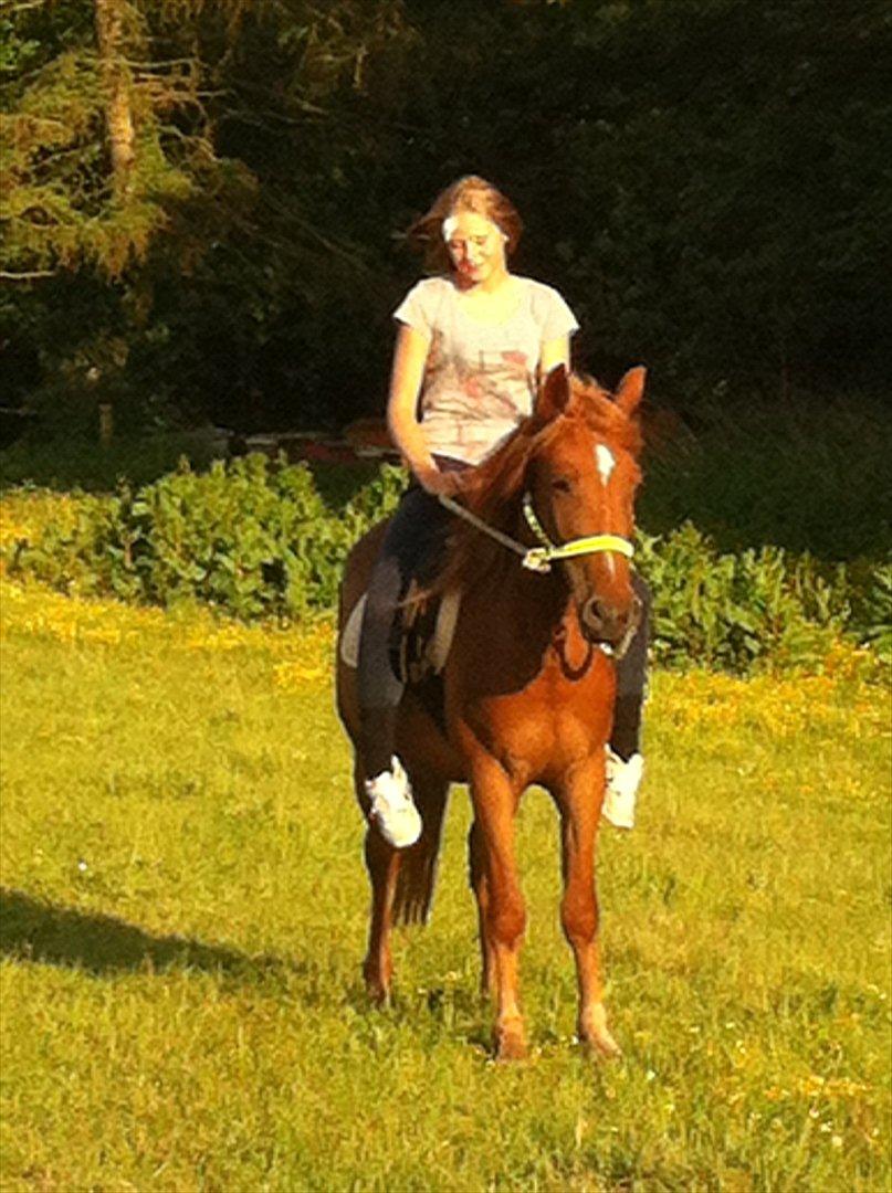 Anden særlig race Amy :i - Min skønne lille pony! :-)

Ved godt jeg ikke har ridehjelm på!
Og ja, det er et plaster jeg har i panden ;-) billede 5