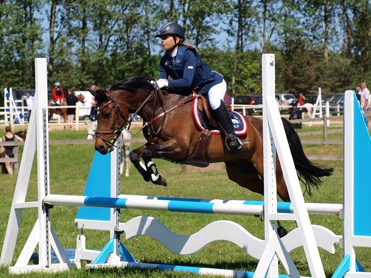 Anden særlig race Midnights Malte (Finn) <3 - Velkommen til Finn's profil <3;-)
-taget af: Annika Løvmose Holm ;-) billede 4