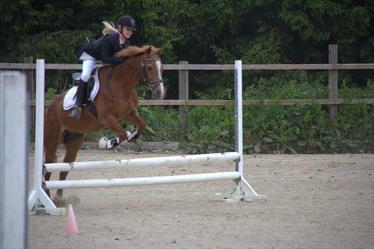 Anden særlig race Oliver - Sofie & Oliver 60 cm  billede 16