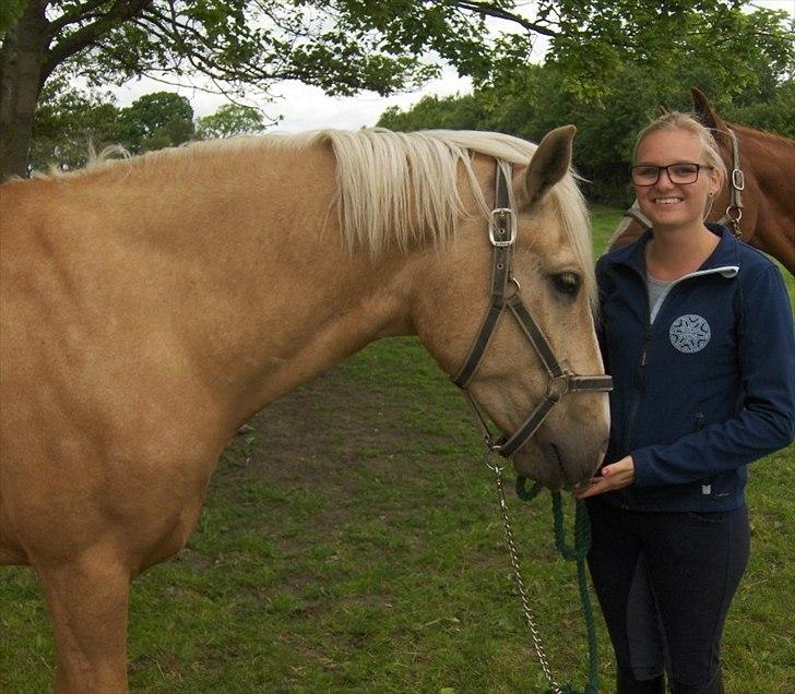 Palomino Cream Django (Santhos) - Gammel Part billede 3