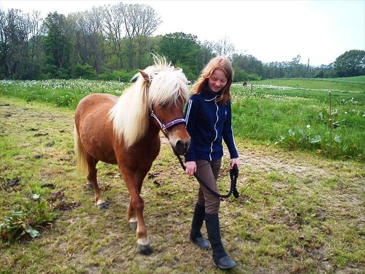 Islænder Vina fra gudnådalen. (Nuddel) - Velkommen til Vina's Profil :-D billede 2