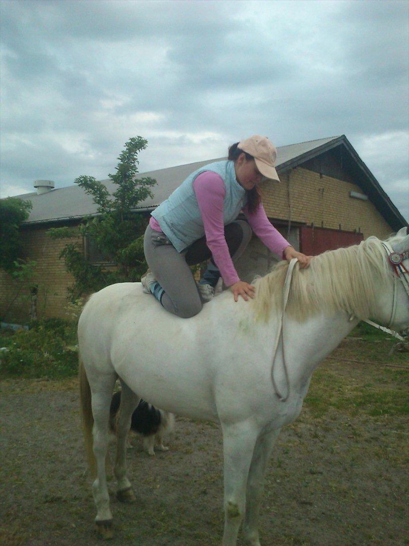 Anden særlig race Duet- min stjerne<3 - Bare lige for at vise hvor tolerant min dejlige pony er ! <3 billede 15