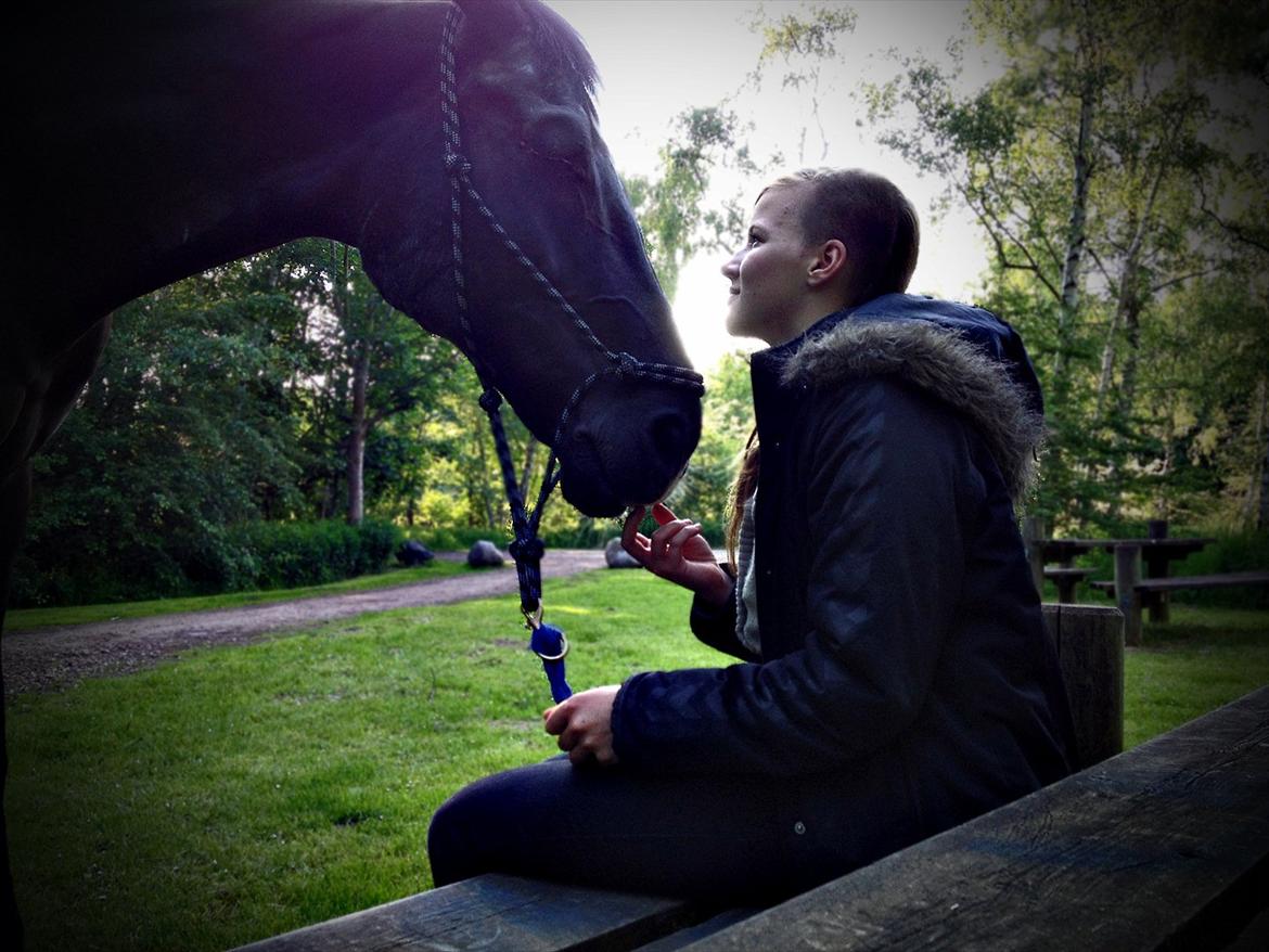 Oldenborg Felix - //da han kom hjem fra dyre klinikken efter at have fået fjernet øjet D.7/6-2012//
jeg gik en lang tur op til skoven med ham<3 billede 18