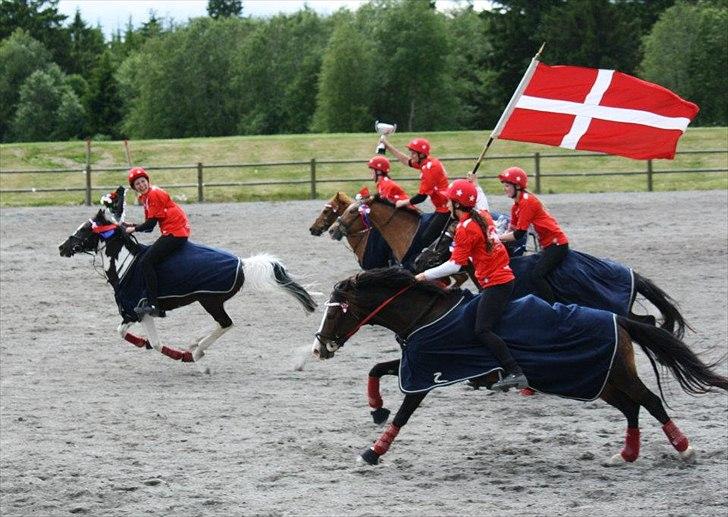 Norsk Sportspony Flying Amy - vinnere av Norway summer challende 2012!  billede 19