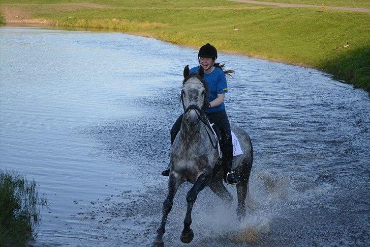 Anden særlig race Cæzar (Solgt) - Bonnie og Cæzar (taget af Katahrina) billede 17