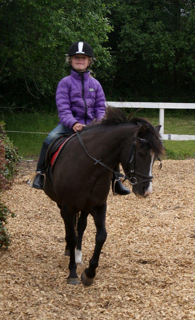 Anden særlig race Aslan - smil på Julie billede 6