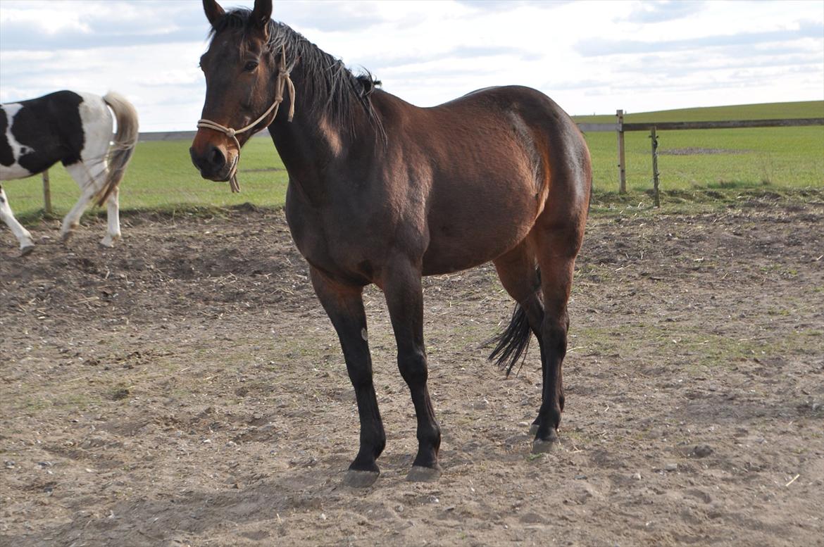 Traver Jazz Pax (Jezze) <3<3 billede 10