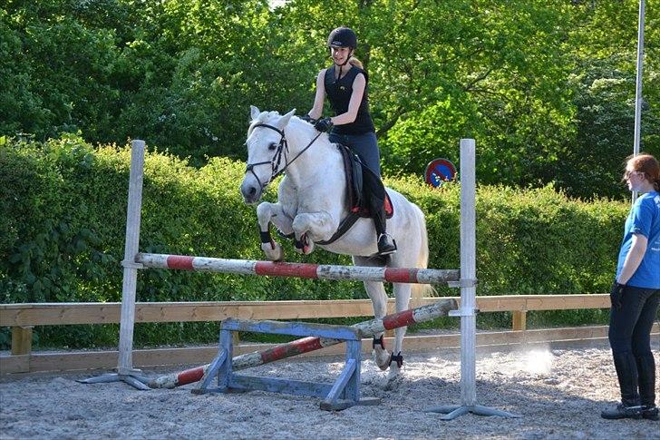 Connemara Flash Point Hedelund ~Polle~ RIP - Nr. 5
springtræning! omkring 1 meter! :*
taget af Katharina billede 5