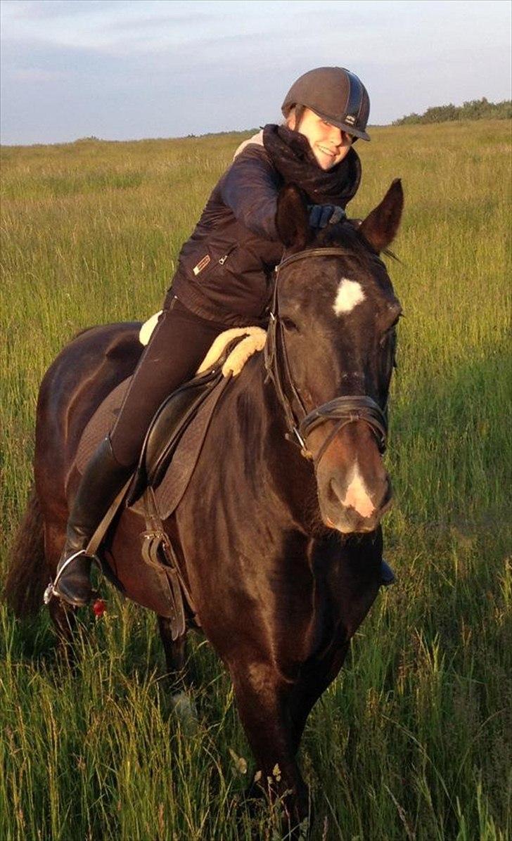 Oldenborg Emma (Dot) Hestbækgård - 

+*.Who needs a Therapist? I got you.*+<3 Taget med min Iphone <3 billede 23