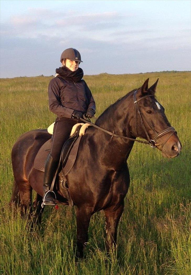 Oldenborg Emma (Dot) Hestbækgård - +*.Life is always better when  im with you.*+taget med min Iphone<3 billede 24