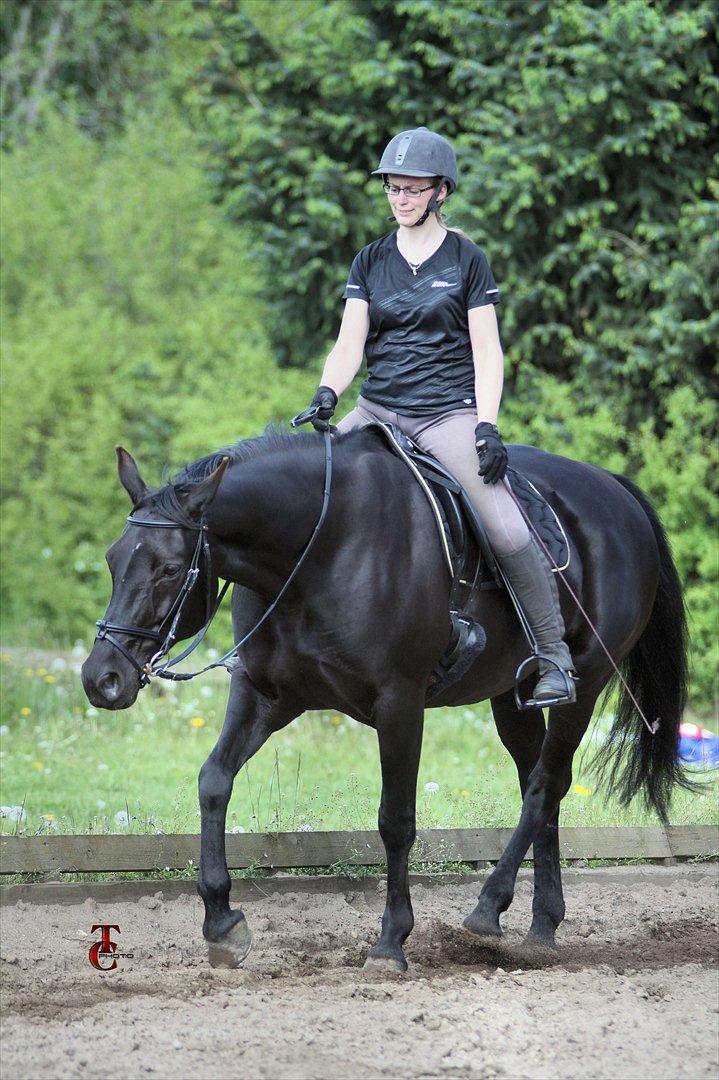 Anden særlig race Mallory billede 15