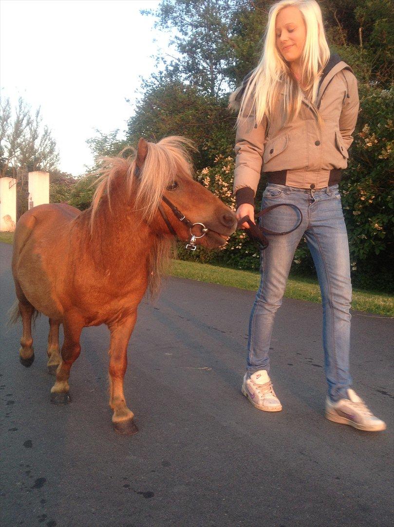 Miniature Filur ( figurt ) <3 solgt billede 3