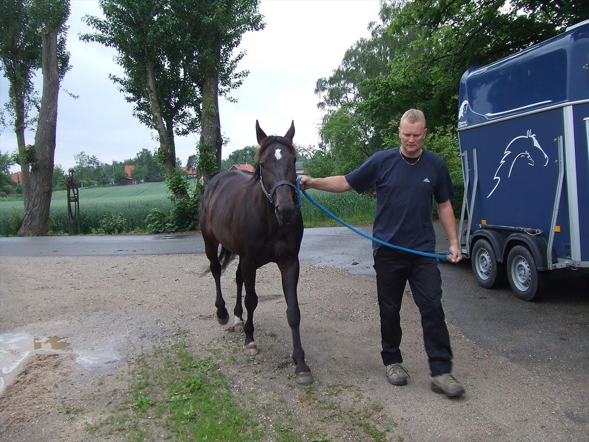 Traver Denys Langkjær - Denys billede 9