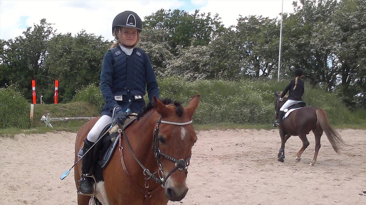 Anden særlig race Flying coco<3 billede 6
