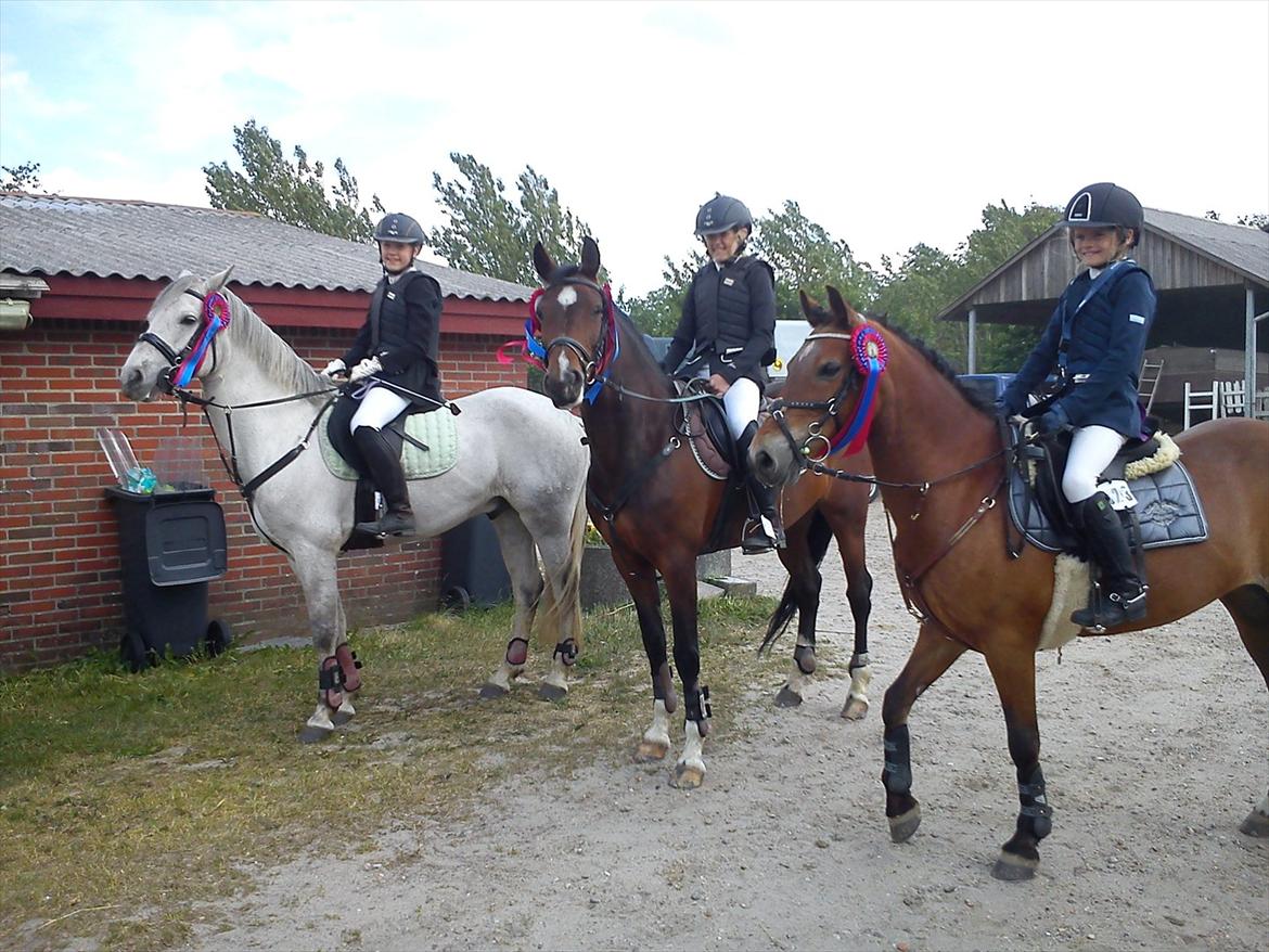 Anden særlig race Flying coco<3 billede 9