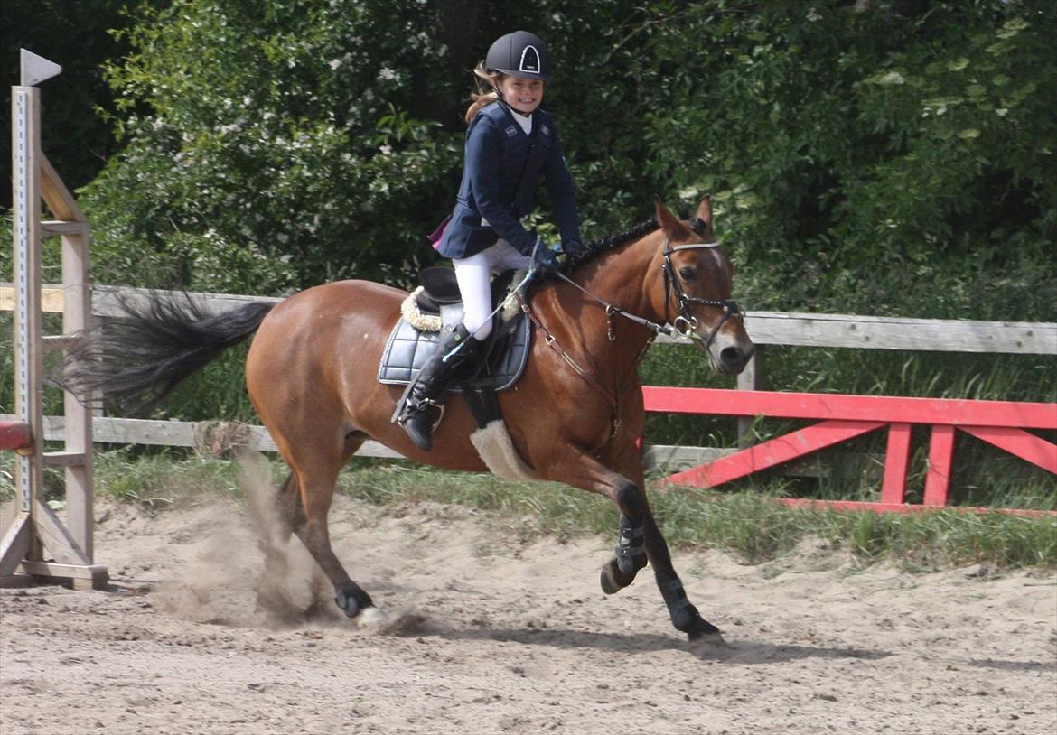 Anden særlig race Flying coco<3 billede 10