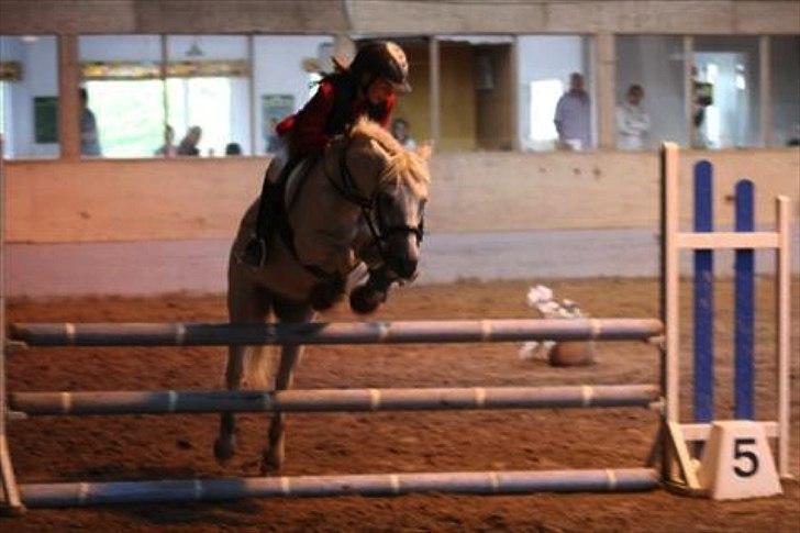 Welsh Mountain (sec A) Crowns Happy Moon - LA** fejlfri! <3 billede 4