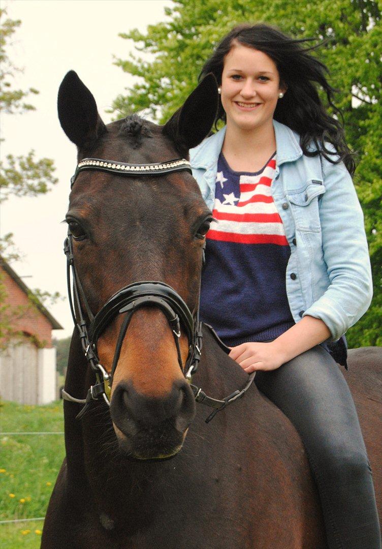 Hannoveraner Grinta Alfarvad Z - <3 billede 6