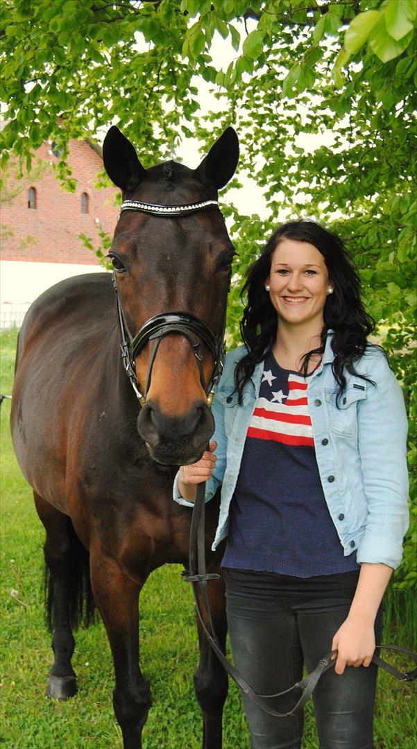 Hannoveraner Grinta Alfarvad Z - Du er en stjerne! <3
 billede 9