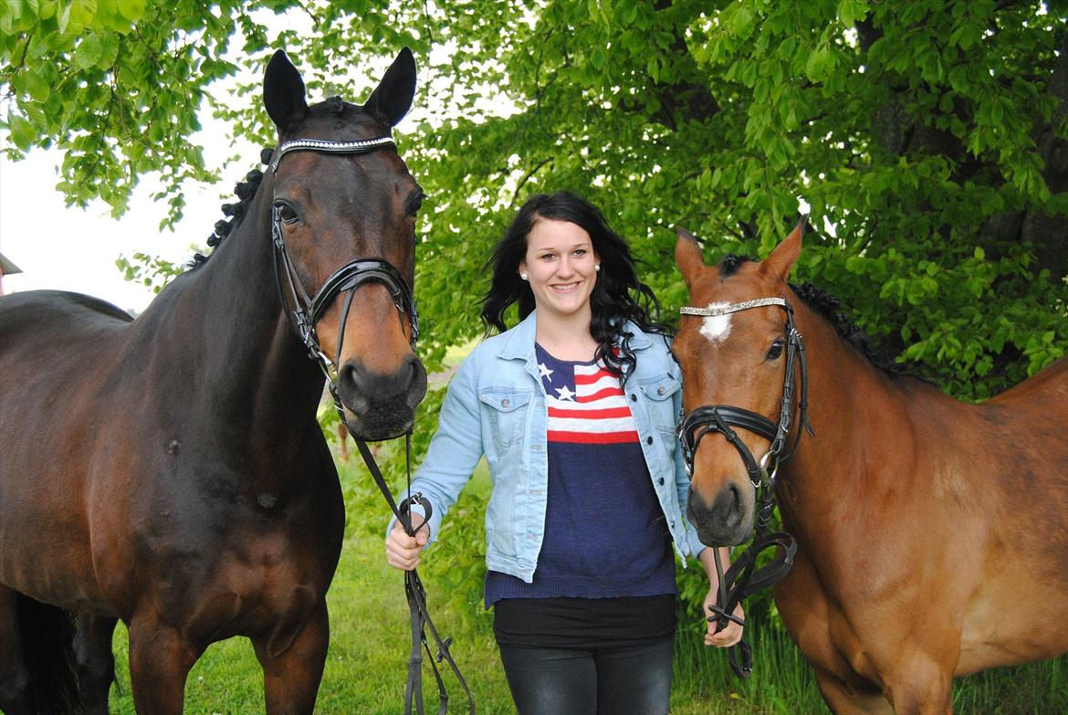Hannoveraner Grinta Alfarvad Z - Grinta og Fabiola <3
Mine stjerner! billede 15
