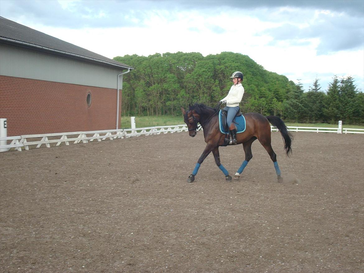 Anden særlig race Chiquita *Bananen* billede 6