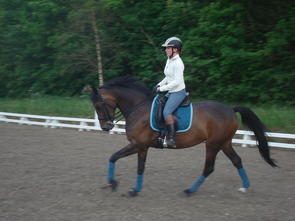 Anden særlig race Chiquita *Bananen* billede 19