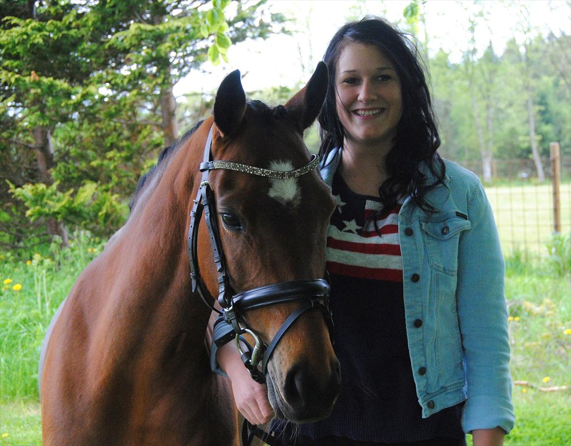 Hollandsk Sportspony Fabiola - My everything!<3 billede 14