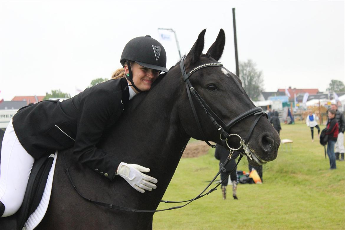 Oldenborg Cassiopeia (TUT) - Efter opvisning til Thisted Dyrskue den 8. juni 2012!<3 billede 18