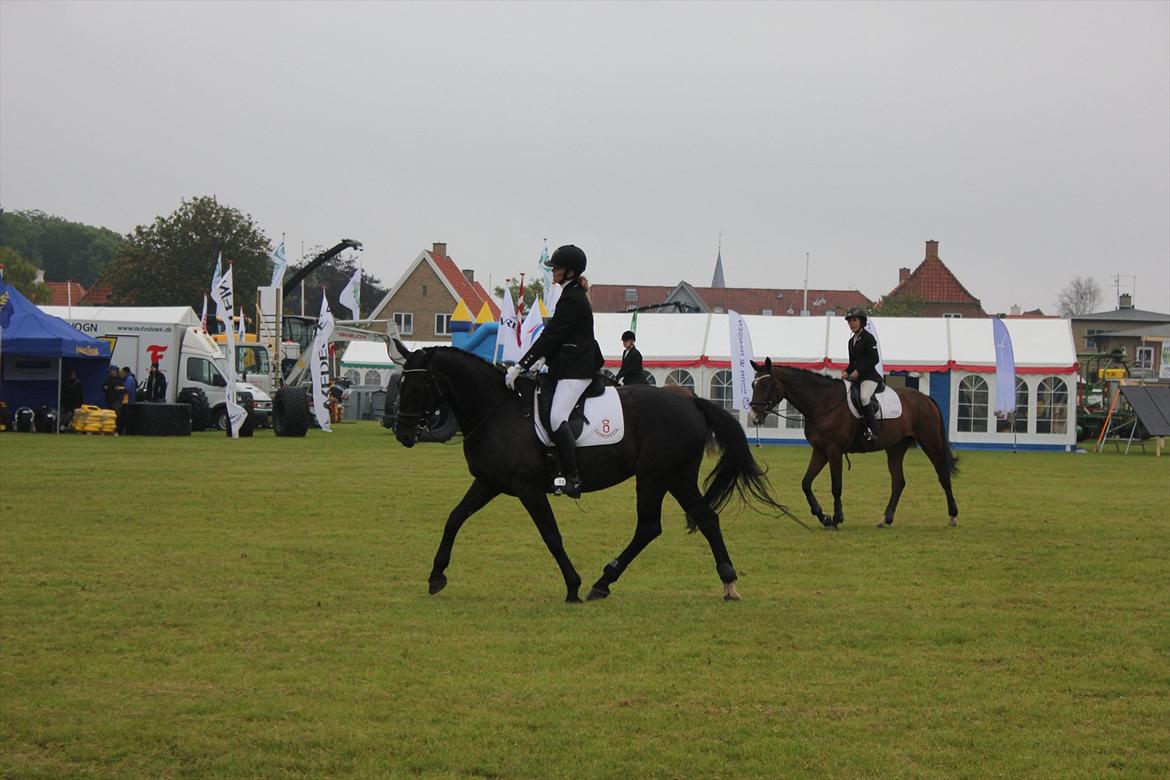 Oldenborg Cassiopeia (TUT) billede 20