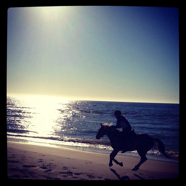 New Forest Kantje's Tommy - Tommy og mig på stranden, helt fantastisk oplevelse!! ♥

--Tak fordi i kiggede med, giv gerne en komentar og en bedømmelse, så kigger jeg forbi jeres! ;D billede 20