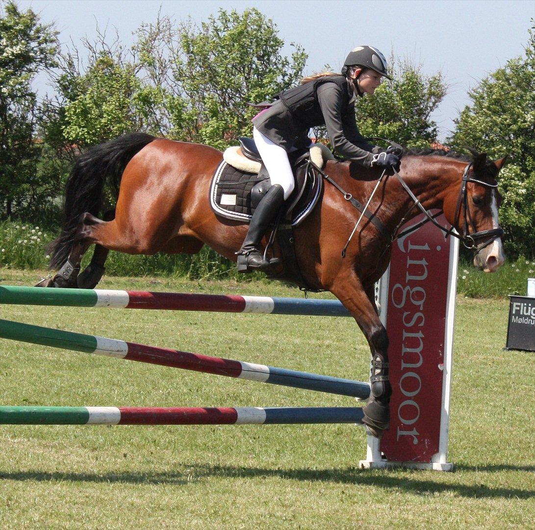 Hollandsk Sportspony Caspertoo H - B-pony<3 - MB1* Løgstør 2012:-)<3 Foto: Clarissa
- Du tager mig tættere på himlen<3 billede 2