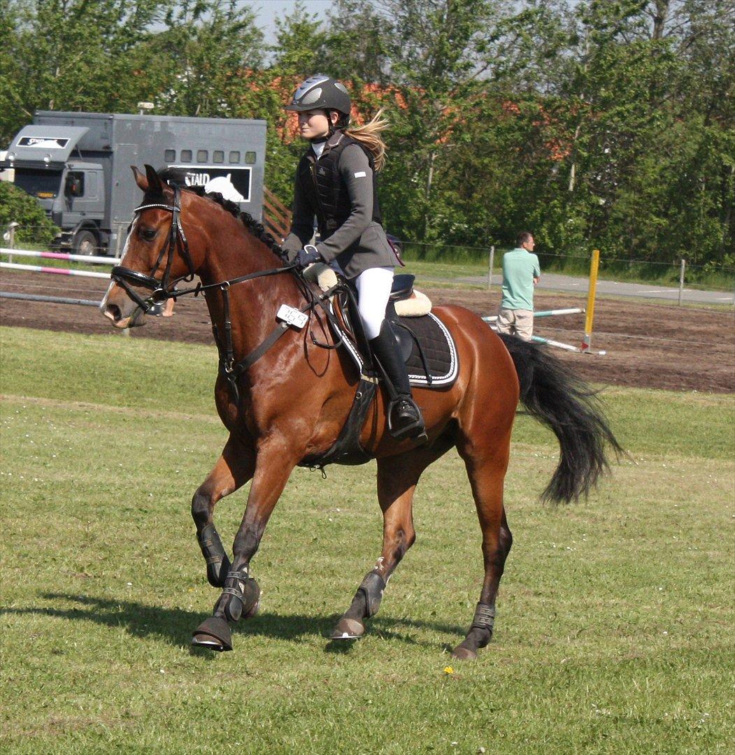 Hollandsk Sportspony Caspertoo H - B-pony<3 - Foto: Clarissa
"You mean everything to me<3" billede 13