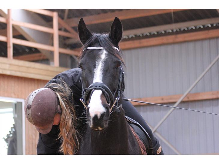 {{currentPhoto.altText}} billede {{currentPhoto.number}}