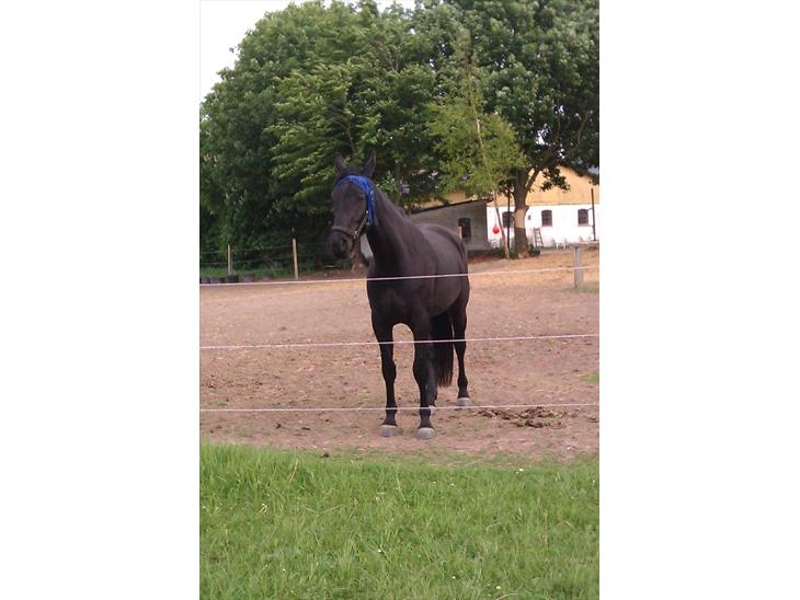 {{currentPhoto.altText}} billede {{currentPhoto.number}}