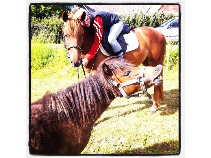 {{currentPhoto.altText}} billede {{currentPhoto.number}}