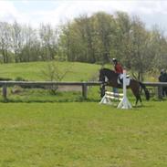 Anden særlig race Monique