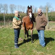 Anden særlig race Unique