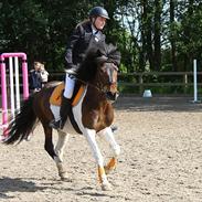 Islænder lotta vom groenholm