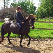 Islænder Spurning R.I.P