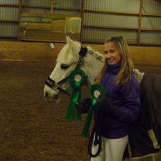 Welsh Pony af Cob-type (sec C) Bugatti