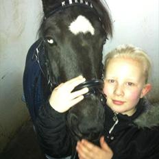 Welsh Pony (sec B) Callunas Keeshia