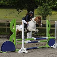 Anden særlig race Tarzan