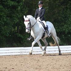 Anden særlig race Mr. Rubin Hurricane Carter B-Pony