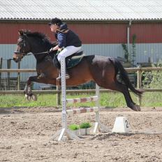 Anden særlig race Aeroplane 