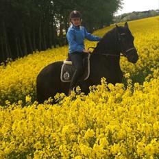 Frieser Zafir * Den bedste*<3