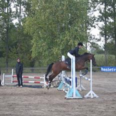 Anden særlig race Ferro