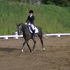 Dansk Varmblod Rinkenæs Challenge - SOLGT